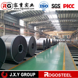 popular prepainted cold rolled steel coil 25-35 paint coating